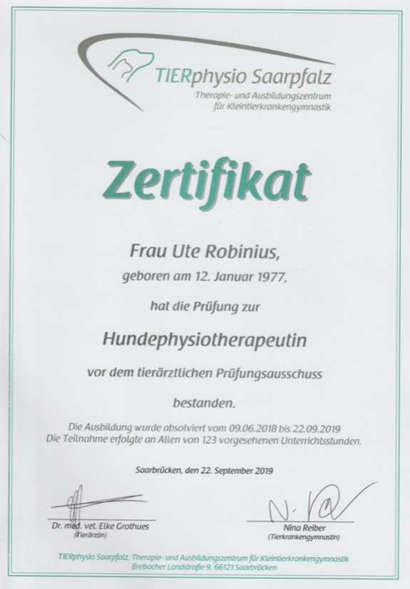 Zertifikat Tierphysiotherapie